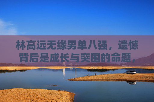 林高远无缘男单八强，遗憾背后是成长与突围的命题，林高远无缘男单八强，遗憾背后的成长与突围命题
