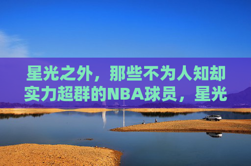 星光之外,那些不为人知却实力超群的NBA球员,星光之外的NBA实力悍将