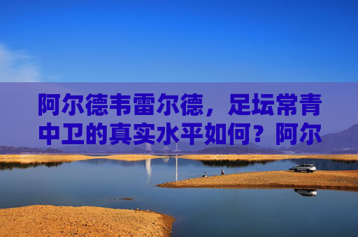 阿尔德韦雷尔德,足坛常青中卫的真实水平如何?阿尔德韦雷尔德,足坛常青中卫的真实水平如何?