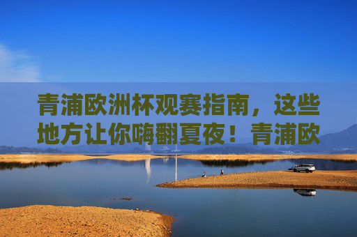 青浦欧洲杯观赛指南，这些地方让你嗨翻夏夜！青浦欧洲杯观赛指南，嗨翻夏夜的观赛胜地
