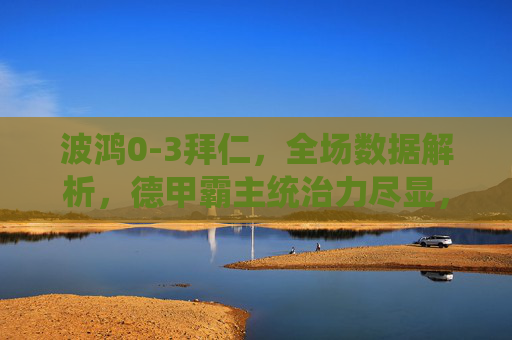 波鸿0-3拜仁，全场数据解析，德甲霸主统治力尽显，波鸿0-3拜仁，数据解析显德甲霸主统治力