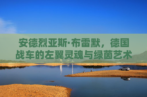 安德烈亚斯·布雷默,德国战车的左翼灵魂与绿茵艺术家,德国战车左翼灵魂与绿茵艺术家