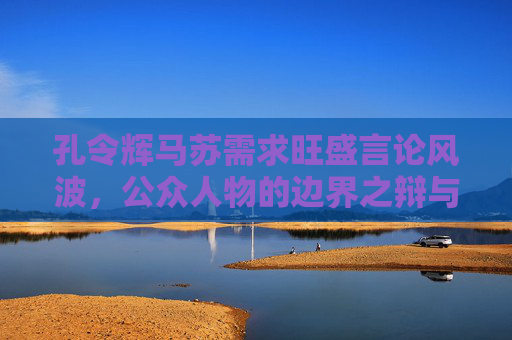 孔令辉马苏需求旺盛言论风波,公众人物的边界之辩与隐私之思,孔令辉马苏需求旺盛言论风波,公众人物边界之辩与隐私之思