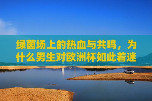 绿茵场上的热血与共鸣，为什么男生对欧洲杯如此着迷？男生对欧洲杯着迷，绿茵场热血共鸣