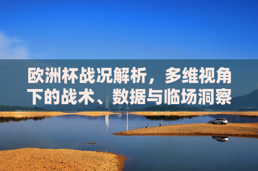 欧洲杯战况解析,多维视角下的战术、数据与临场洞察