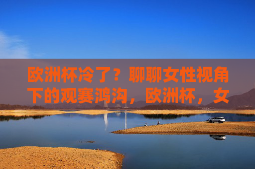 欧洲杯冷了?聊聊女性视角下的观赛鸿沟,欧洲杯,女性视角下的观赛鸿沟