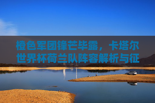 橙色军团锋芒毕露，卡塔尔世界杯荷兰队阵容解析与征程回顾，橙色军团锋芒毕露，卡塔尔世界杯荷兰队阵容解析与征程回顾