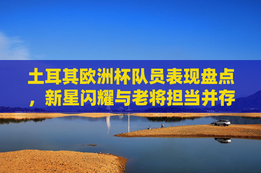 土耳其欧洲杯队员表现盘点，新星闪耀与老将担当并存，土耳其欧洲杯队员表现盘点，新星闪耀与老将担当并存
