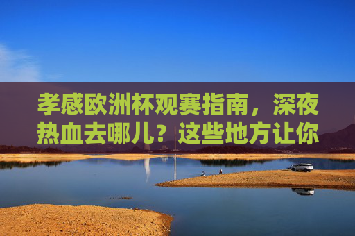 孝感欧洲杯观赛指南,深夜热血去哪儿?这些地方让你与足球狂欢,孝感欧洲杯观赛指南,深夜热血狂欢地