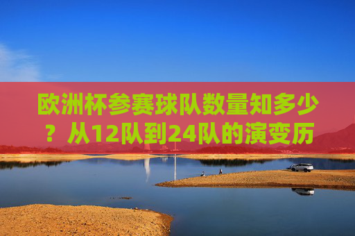欧洲杯参赛球队数量知多少？从12队到24队的演变历程，欧洲杯参赛球队数量演变，从12队到24队