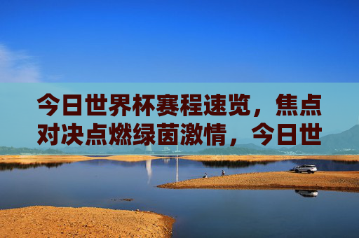 今日世界杯赛程速览，焦点对决点燃绿茵激情，今日世界杯赛程速览，焦点对决点燃绿茵激情