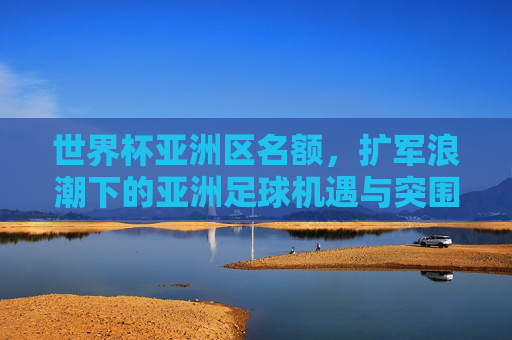 世界杯亚洲区名额,扩军浪潮下的亚洲足球机遇与突围,世界杯亚洲区名额扩军,亚洲足球的机遇与突围
