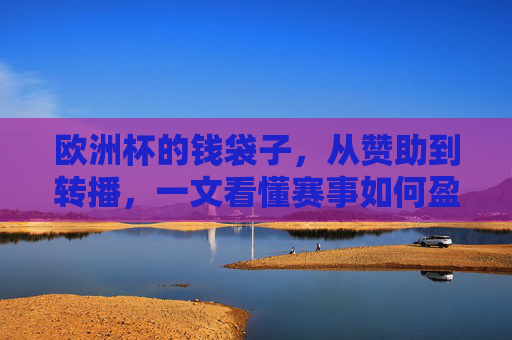 欧洲杯的钱袋子，从赞助到转播，一文看懂赛事如何盈利，一文看懂欧洲杯盈利，从赞助到转播的钱袋子