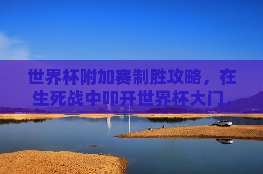 世界杯附加赛制胜攻略,在生死战中叩开世界杯大门,世界杯附加赛生死战制胜攻略,叩开世界杯之门