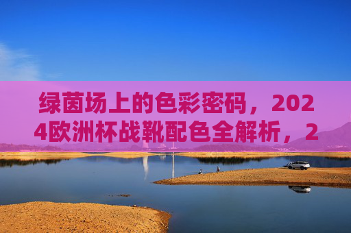 绿茵场上的色彩密码,2024欧洲杯战靴配色全解析,2024欧洲杯战靴色彩密码全解析