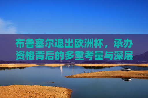 布鲁塞尔退出欧洲杯,承办资格背后的多重考量与深层逻辑,布鲁塞尔退出欧洲杯,承办资格背后的多重考量与深层逻辑