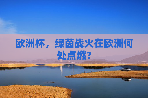 欧洲杯,绿茵战火在欧洲何处点燃?