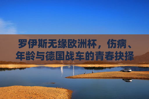 罗伊斯无缘欧洲杯,伤病、年龄与德国战车的青春抉择,罗伊斯无缘欧洲杯,伤病、年龄与德国战车的青春抉择