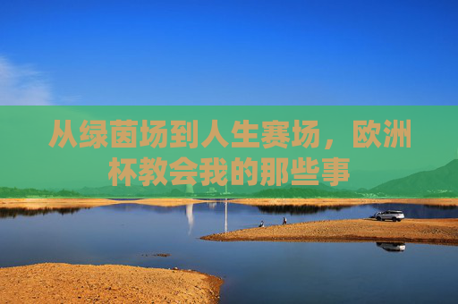 从绿茵场到人生赛场,欧洲杯教会我的那些事