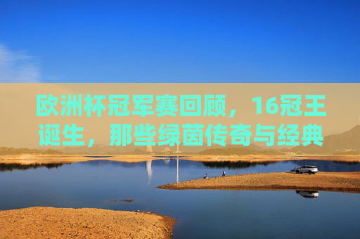 欧洲杯冠军赛回顾,16冠王诞生,那些绿茵传奇与经典瞬间
