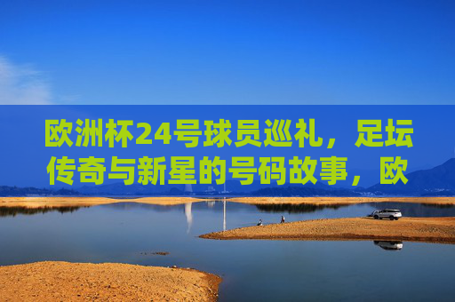 欧洲杯24号球员巡礼，足坛传奇与新星的号码故事，欧洲杯24号巡礼，传奇与新星的号码故事