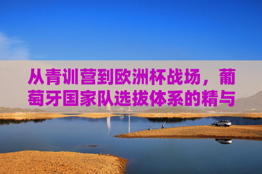 从青训营到欧洲杯战场,葡萄牙国家队选拔体系的精与智,葡萄牙从青训到欧洲杯,选拔体系的精智之道