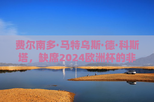 费尔南多·马特乌斯·德·科斯塔,缺席2024欧洲杯的非典型答案,费尔南多·马特乌斯·德·科斯塔,缺席2024欧洲杯的非典型答案