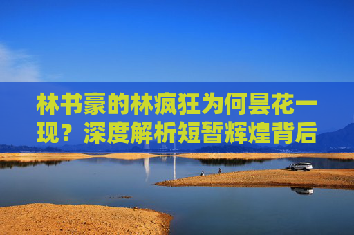 林书豪的林疯狂为何昙花一现？深度解析短暂辉煌背后的多重因素，林疯狂昙花一现，短暂辉煌背后的多重因素