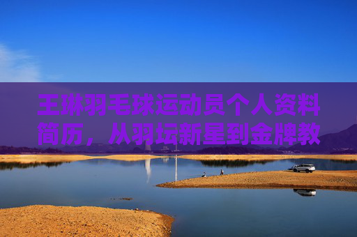 王琳羽毛球运动员个人资料简历,从羽坛新星到金牌教练的蜕变之路,王琳,从羽坛新星到金牌教练的蜕变之路