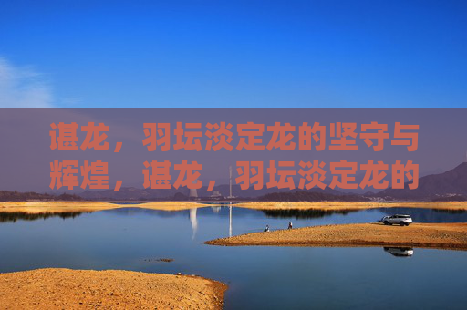 谌龙,羽坛淡定龙的坚守与辉煌,谌龙,羽坛淡定龙的坚守与辉煌