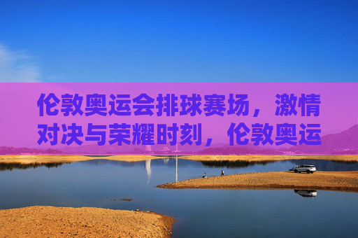 伦敦奥运会排球赛场，激情对决与荣耀时刻，伦敦奥运排球赛场，激情对决铸就荣耀时刻
