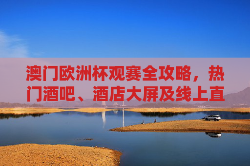 澳门欧洲杯观赛全攻略,热门酒吧、酒店大屏及线上直播指南