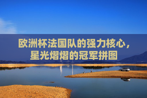 欧洲杯法国队的强力核心,星光熠熠的冠军拼图