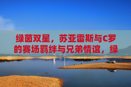 绿茵双星,苏亚雷斯与C罗的赛场羁绊与兄弟情谊,绿茵双星苏亚雷斯与C罗,赛场羁绊与兄弟情谊