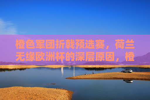 橙色军团折戟预选赛，荷兰无缘欧洲杯的深层原因，橙色军团无缘欧洲杯，预选赛折戟的深层原因