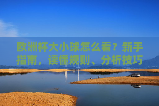 欧洲杯大小球怎么看?新手指南,读懂规则、分析技巧与理性投注