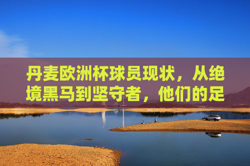 丹麦欧洲杯球员现状，从绝境黑马到坚守者，他们的足球故事未完待续，丹麦欧洲杯，从绝境黑马到坚守者，足球故事未完待续