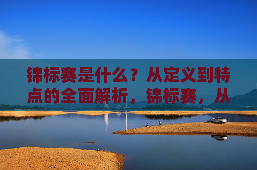 锦标赛是什么？从定义到特点的全面解析，锦标赛，从定义到特点的全面解析