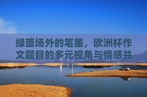 绿茵场外的笔墨，欧洲杯作文题目的多元视角与情感共鸣，绿茵场外的笔墨，欧洲杯作文题目的多元视角与情感共鸣
