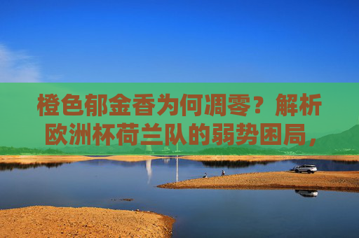 橙色郁金香为何凋零?解析欧洲杯荷兰队的弱势困局,橙色郁金香凋零,欧洲杯荷兰队的弱势困局
