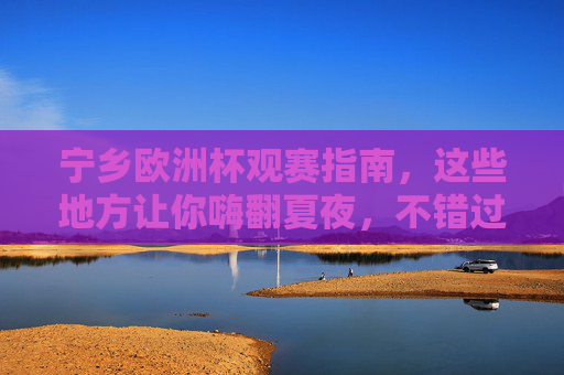 宁乡欧洲杯观赛指南,这些地方让你嗨翻夏夜,不错过任何精彩!宁乡欧洲杯观赛指南,嗨翻夏夜,精彩不错过!