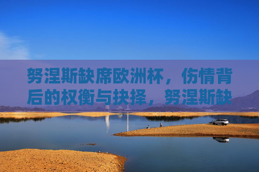 努涅斯缺席欧洲杯，伤情背后的权衡与抉择，努涅斯缺席欧洲杯，伤情背后的抉择