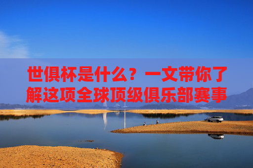 世俱杯是什么?一文带你了解这项全球顶级俱乐部赛事,世俱杯,全球顶级俱乐部赛事
