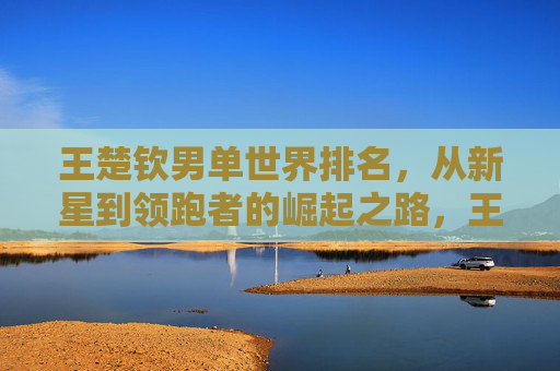 王楚钦男单世界排名，从新星到领跑者的崛起之路，王楚钦，从新星到领跑者的男单崛起之路