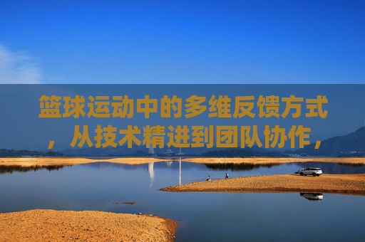 篮球运动中的多维反馈方式,从技术精进到团队协作,篮球多维反馈,技术精进到团队协作的桥梁