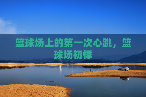 篮球场上的第一次心跳,篮球场初悸