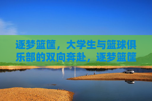 逐梦篮筐,大学生与篮球俱乐部的双向奔赴,逐梦篮筐,大学生与篮球俱乐部的双向奔赴