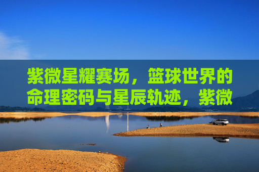 紫微星耀赛场,篮球世界的命理密码与星辰轨迹,紫微星耀赛场,篮球世界的星辰命理