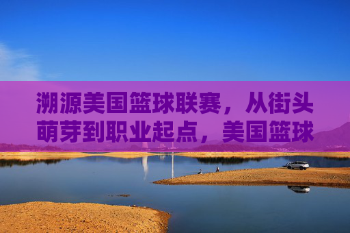 溯源美国篮球联赛,从街头萌芽到职业起点,美国篮球联赛溯源,街头萌芽到职业起点