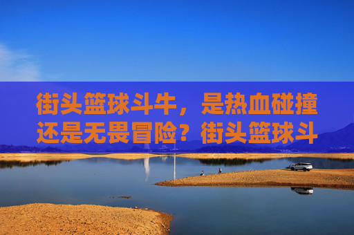 街头篮球斗牛,是热血碰撞还是无畏冒险?街头篮球斗牛,热血碰撞与无畏冒险